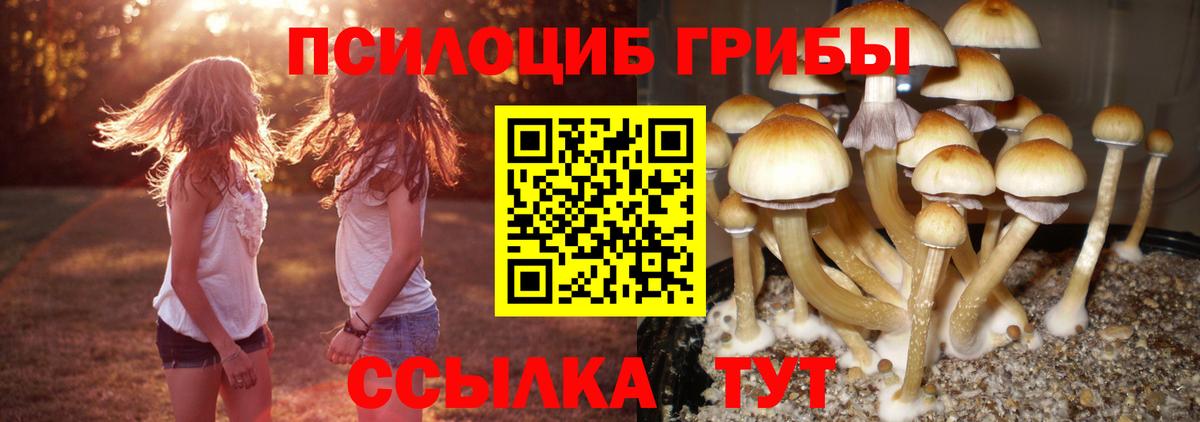 Псилоцибиновые грибы ЛСД  Вход с VPN  Галлюциногенные грибы Cubensis  Лыткарино 